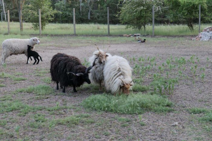 20220513-oab-kiskunhalas-benifoto-011