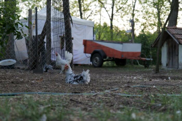 20220513-oab-kiskunhalas-benifoto-012