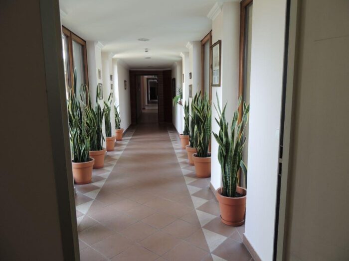 old_angels_band_20240321_026