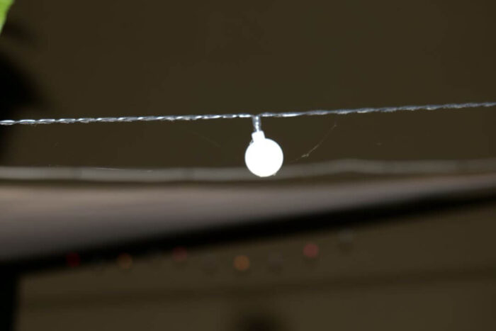 old_angels_band_20240525_buszos_037